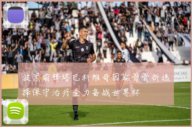 波黑前锋塔巴科维奇因跖骨骨折选择保守治疗全力备战世界杯