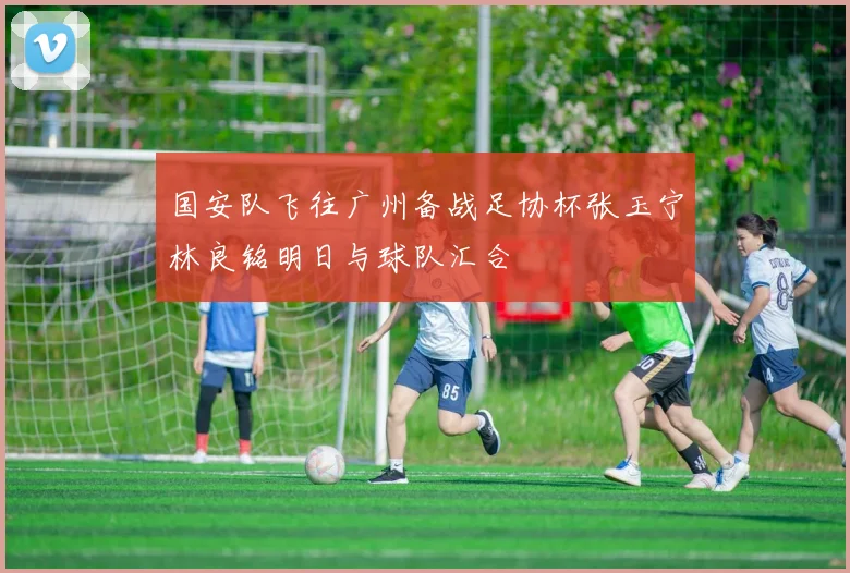 国安队飞往广州备战足协杯张玉宁林良铭明日与球队汇合